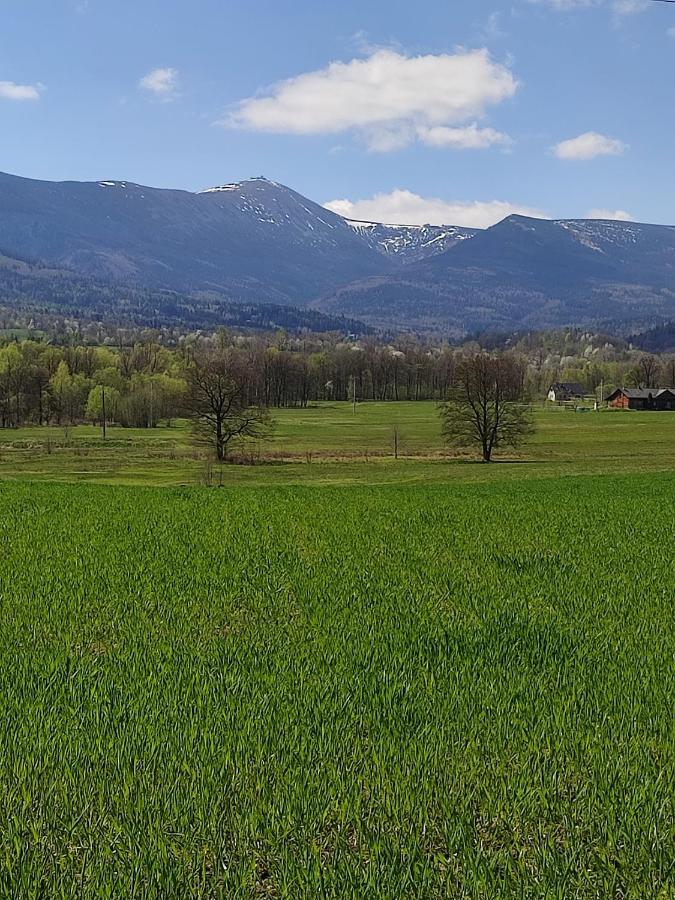 Chata Na Karpackiej Kostrzyca Εξωτερικό φωτογραφία