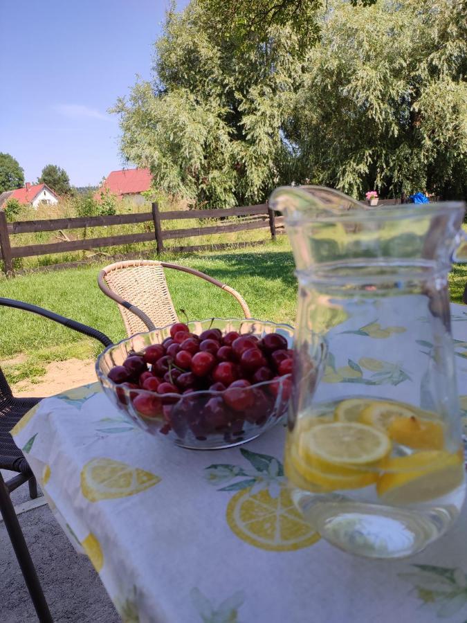 Chata Na Karpackiej Kostrzyca Εξωτερικό φωτογραφία